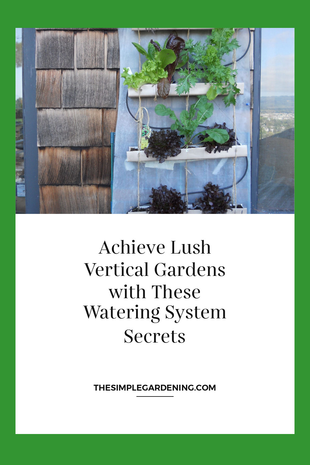 Achieve Lush Vertical Gardens with These Watering System Secrets